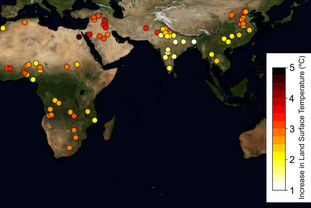 Erhöhte Boden- und Pflanzentemperaturen weltweit, gelb bis rot markierte Hotspots auf kontinentalen Küsten.